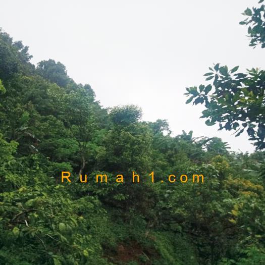 Foto Tanah dijual di Galungan, Sawan, Tanah Id: 8768