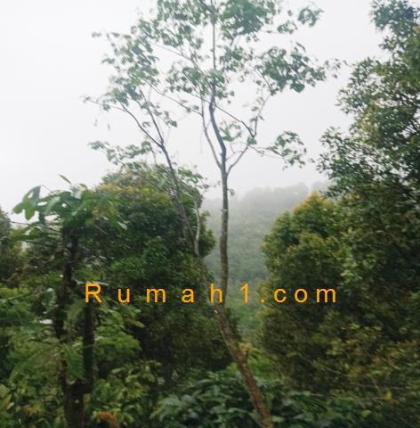 Foto Tanah dijual di Galungan, Sawan, Tanah Id: 8768