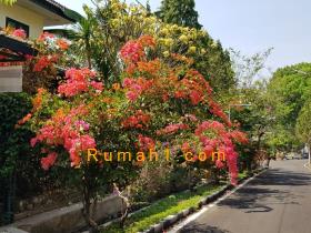 Image rumah dijual di Tlogomas, Lowokwaru, Malang, Properti Id 8778