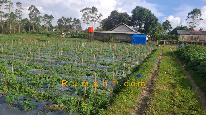 Foto Gudang dijual di Pulosari, Pangalengan, Gudang Id: 8911
